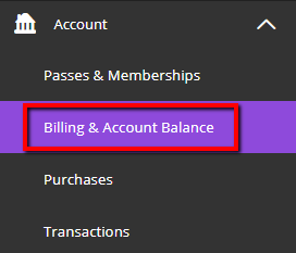 View Billing & Account Balance